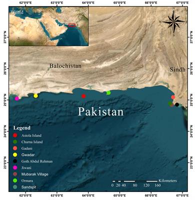 Coral reefs of Pakistan: a comprehensive review of anthropogenic threats, climate change, and conservation status